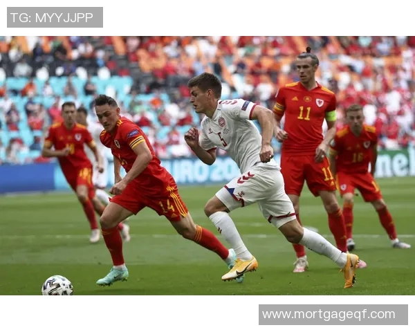 欧洲杯:威尔士队遗憾出局,满腔热血铸就绿茵传奇